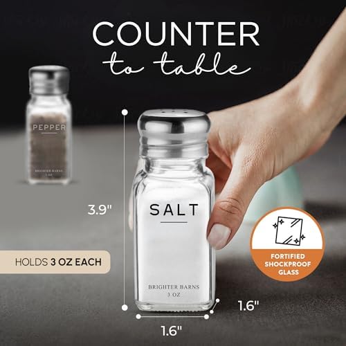 Elegant Glass Salt and Pepper Shakers Set