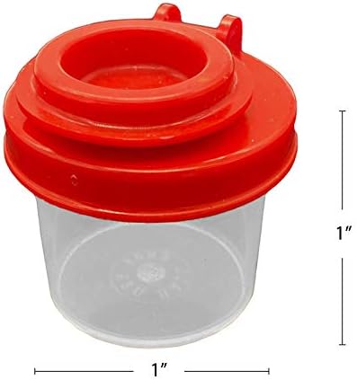 Salt and Pepper Shakers Set