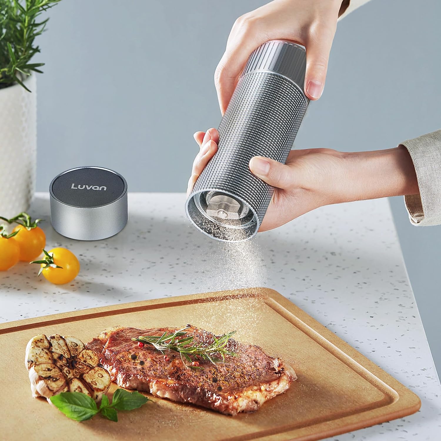 Professional Salt Grinder
