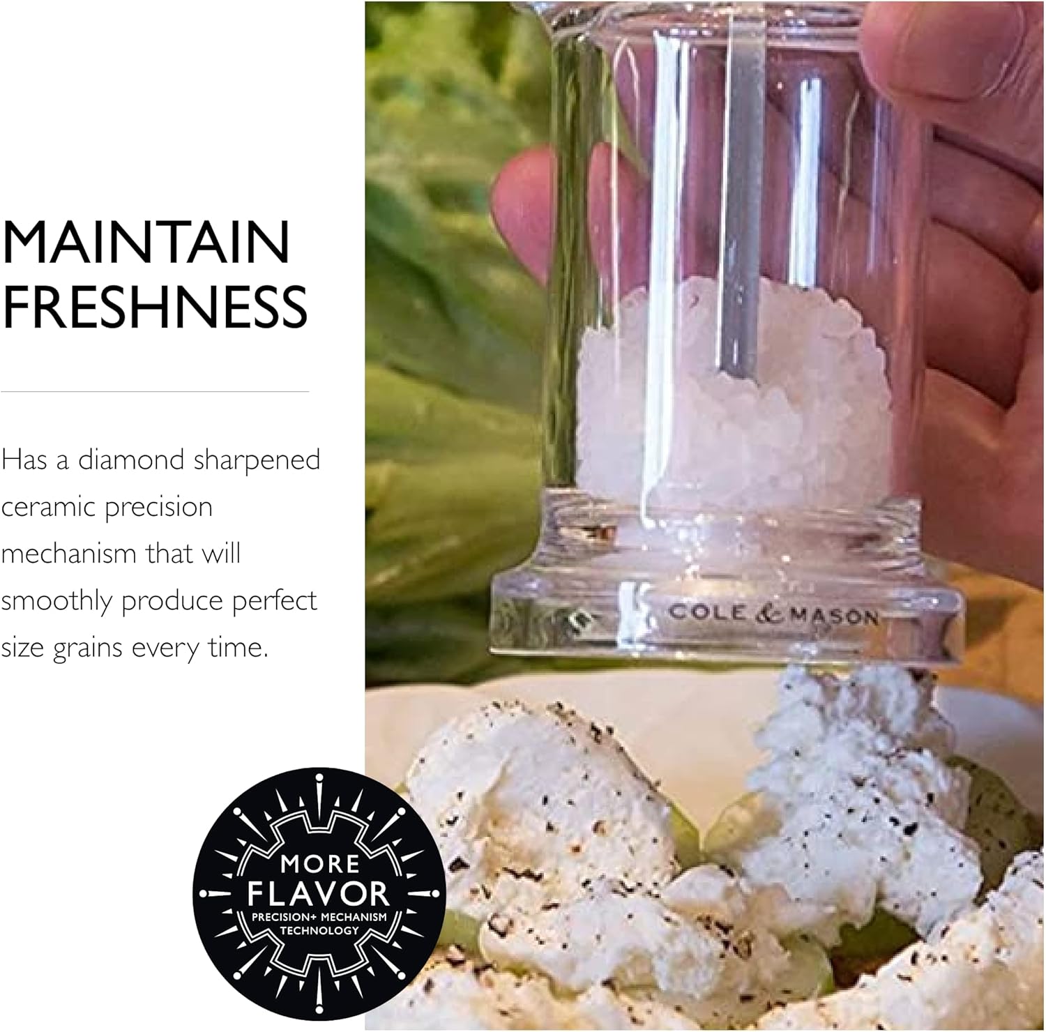 Cole Mason 505 Salt Grinder Best Precision Salt Mill for Home Use